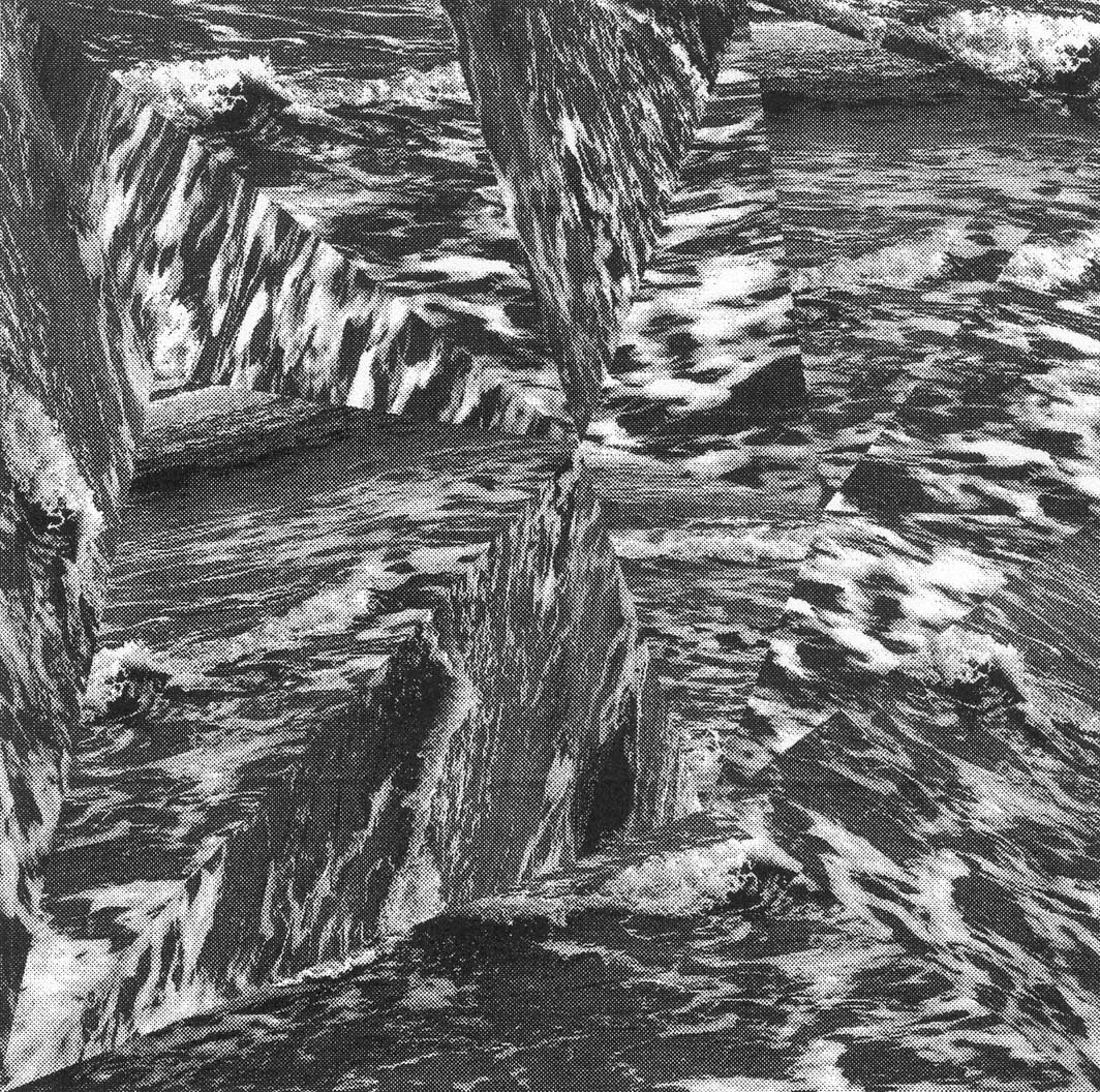 Friday Night At Whitespace