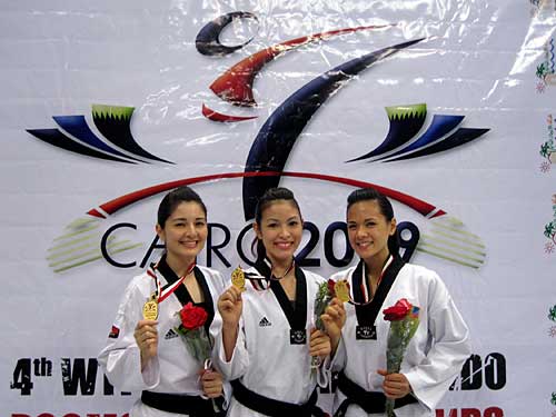 Philippine Taekwondo Logo