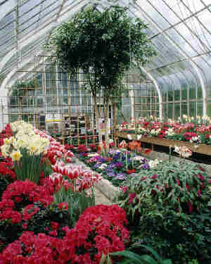 /images/greenhouse.jpg