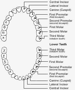 tooth pain