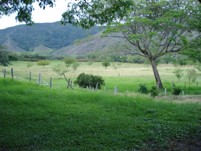 [DSC00671.JPG]