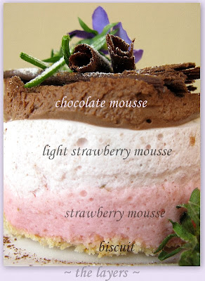 موس الشيكولاتة و الفرولة و الزبادى Strawberry+Chocolate+Yogurt+Mousse2