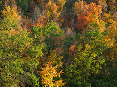 Utah in the Fall