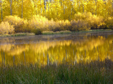 Alpine lake in the Fall