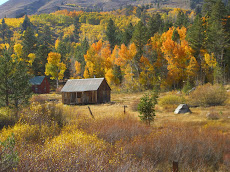 Highway 88 in the Fall