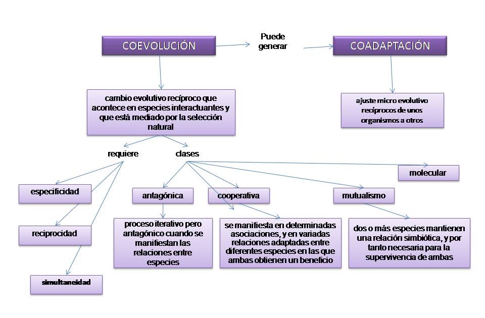 paradigmas científicos vm. Que es la coevolución??