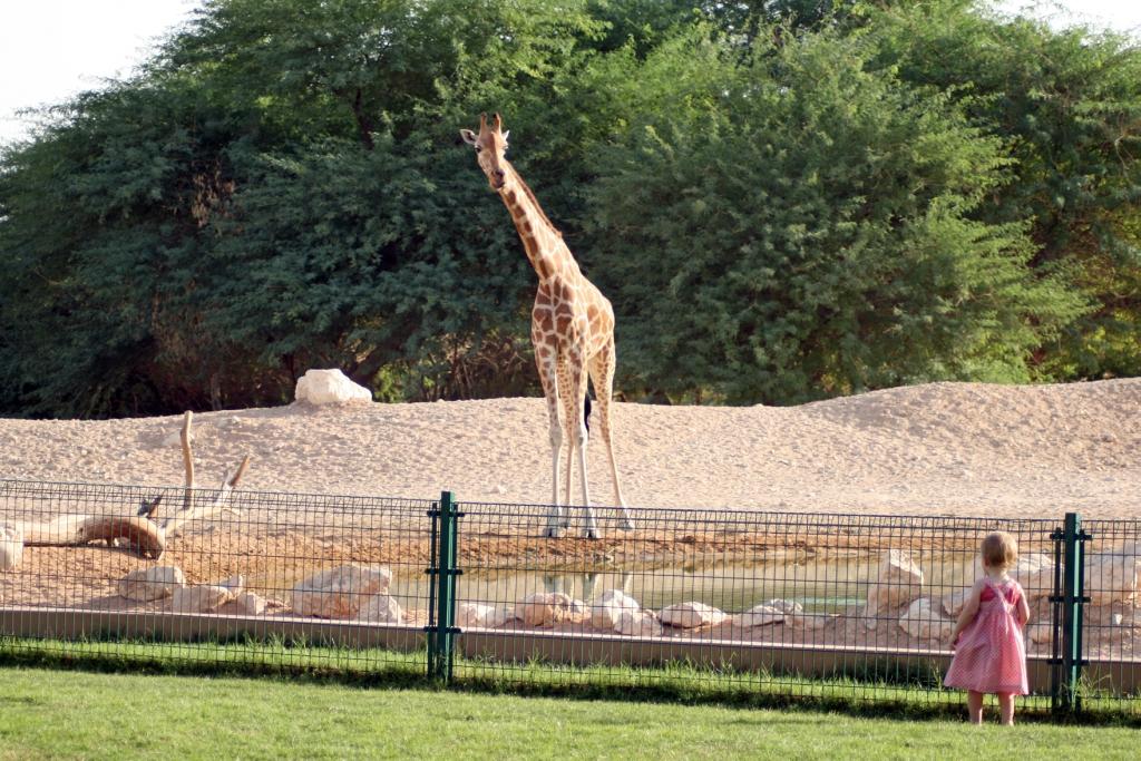 [Eleanor+with+the+giraffe.JPG]