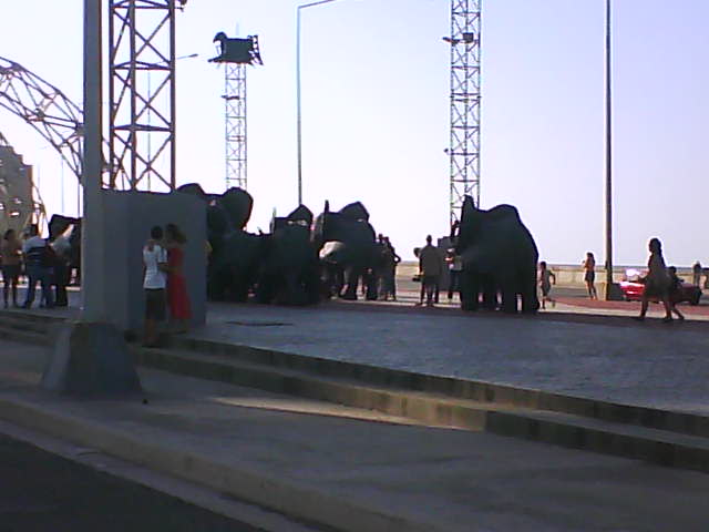 [DSC00250.JPG]