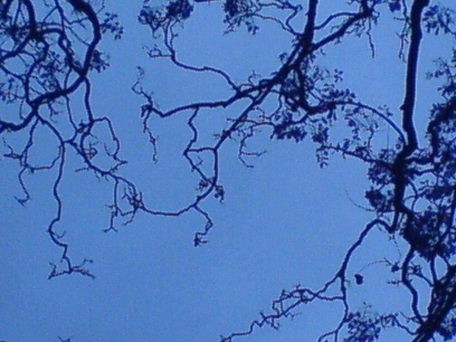 [DSC02290.JPG]