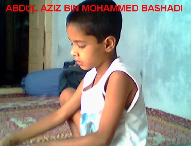 bashadi641