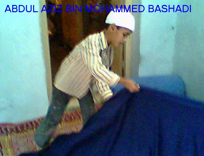 bashadi730