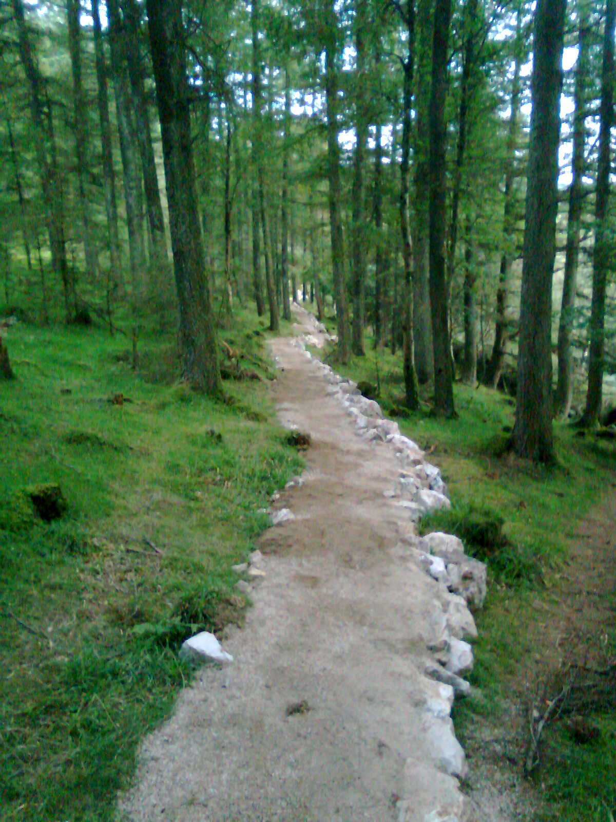 [Image0058_track.jpg]