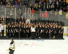 Providence Bruins Performance 2010