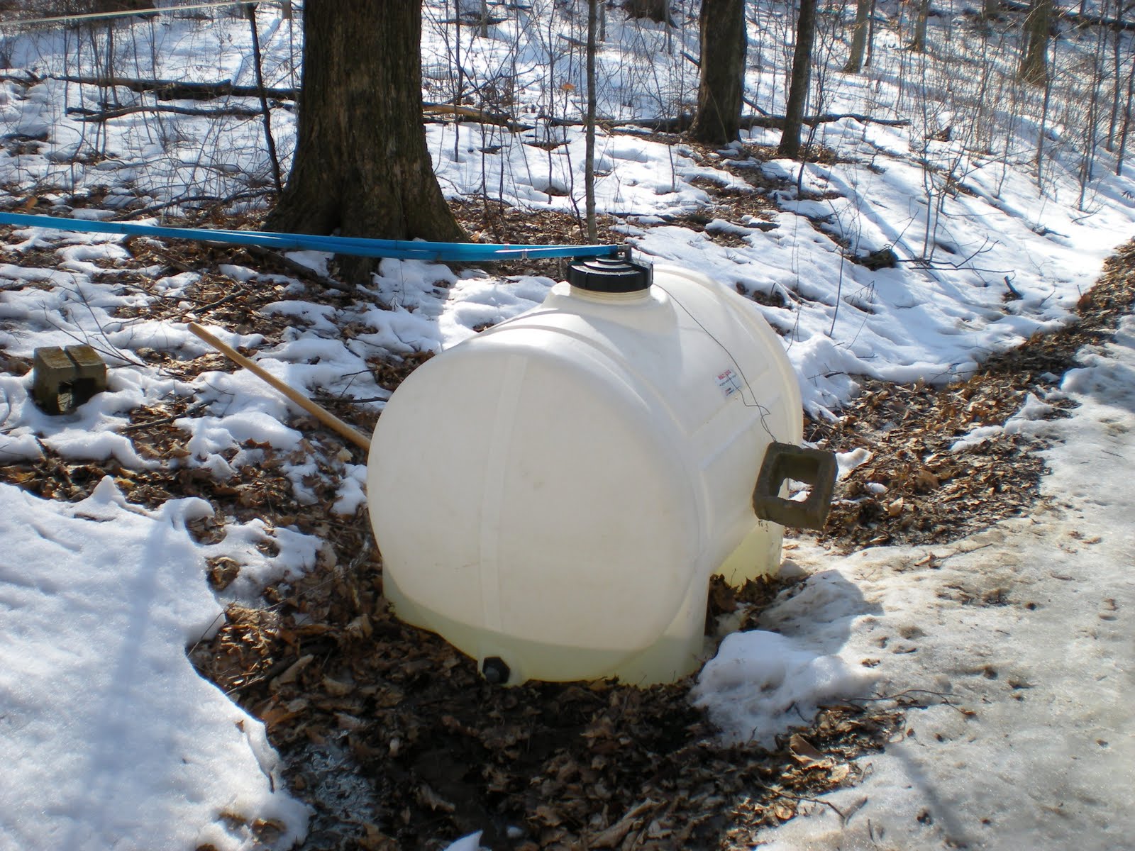 Sap Tank