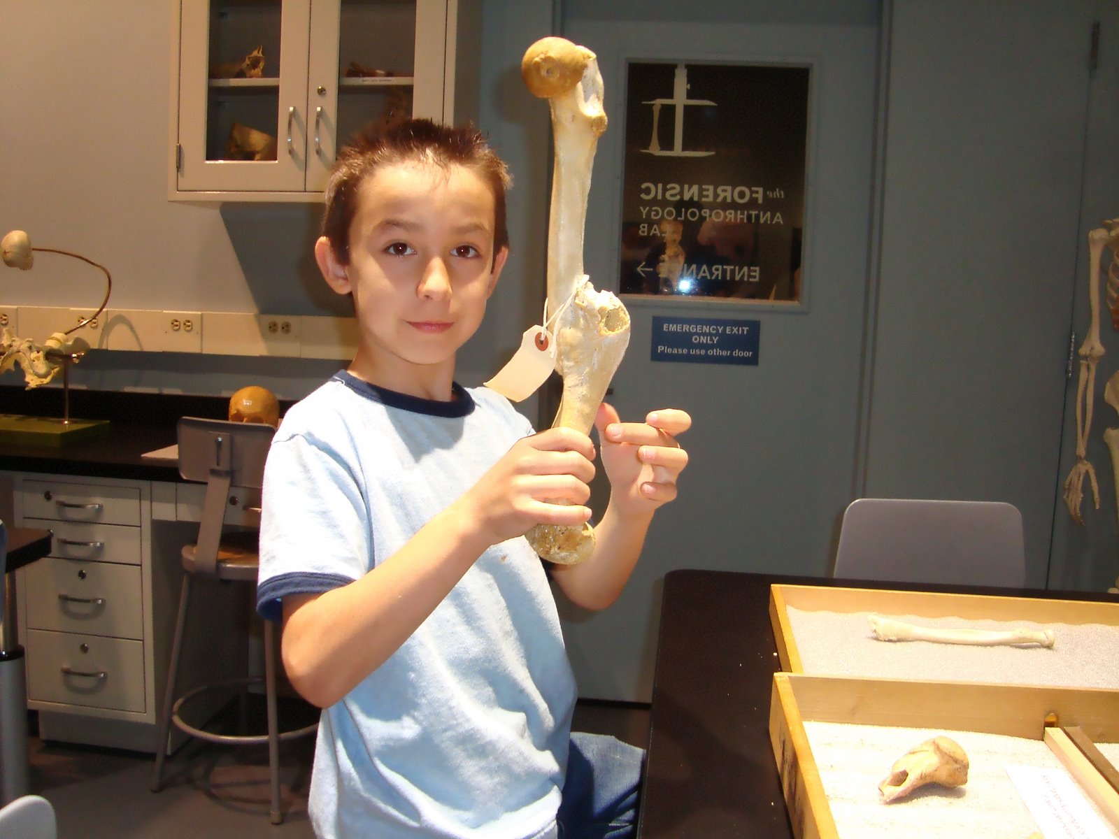 [DSC05381.JPG]
