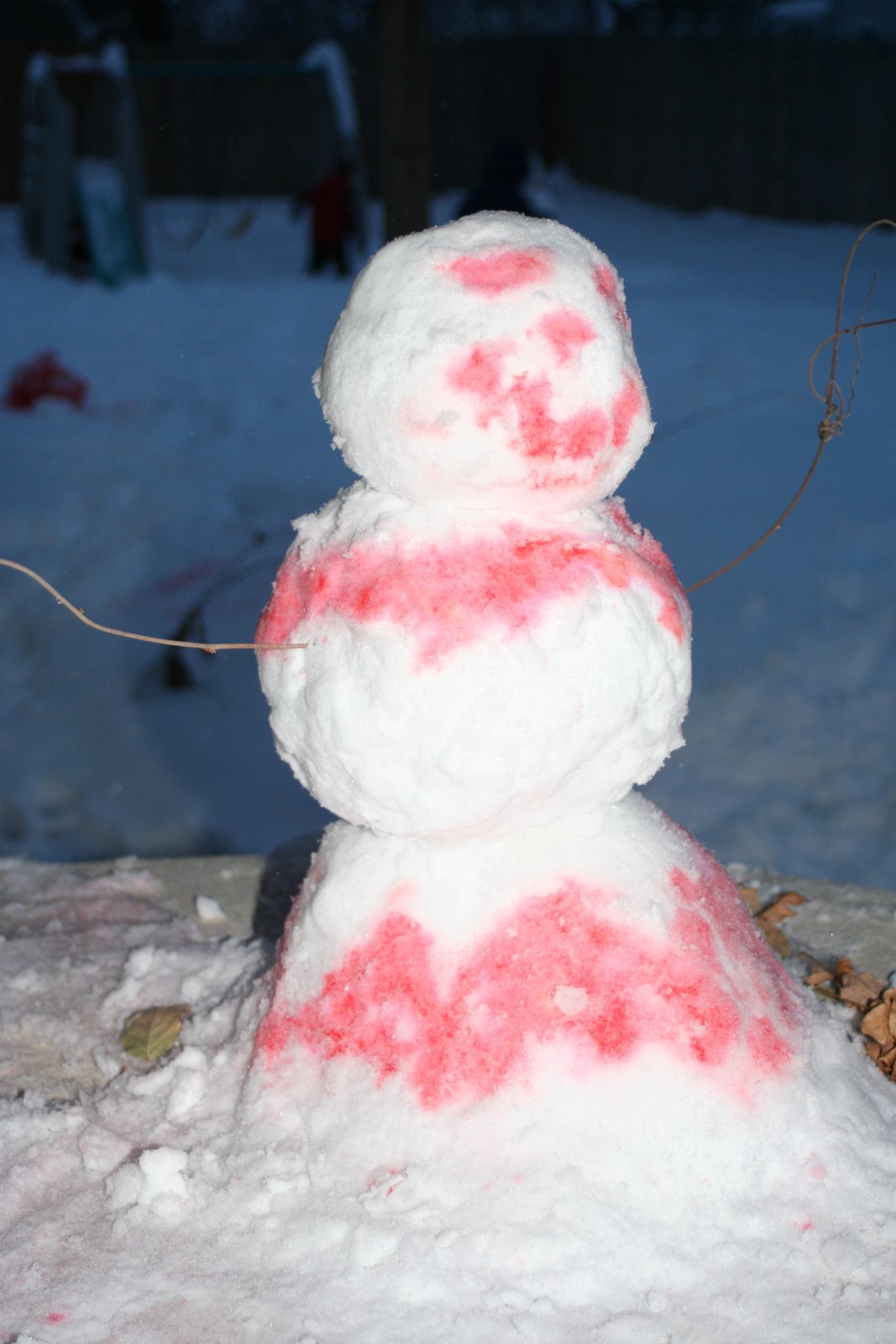 [IMG_1054.JPG]