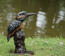 Kingfisher