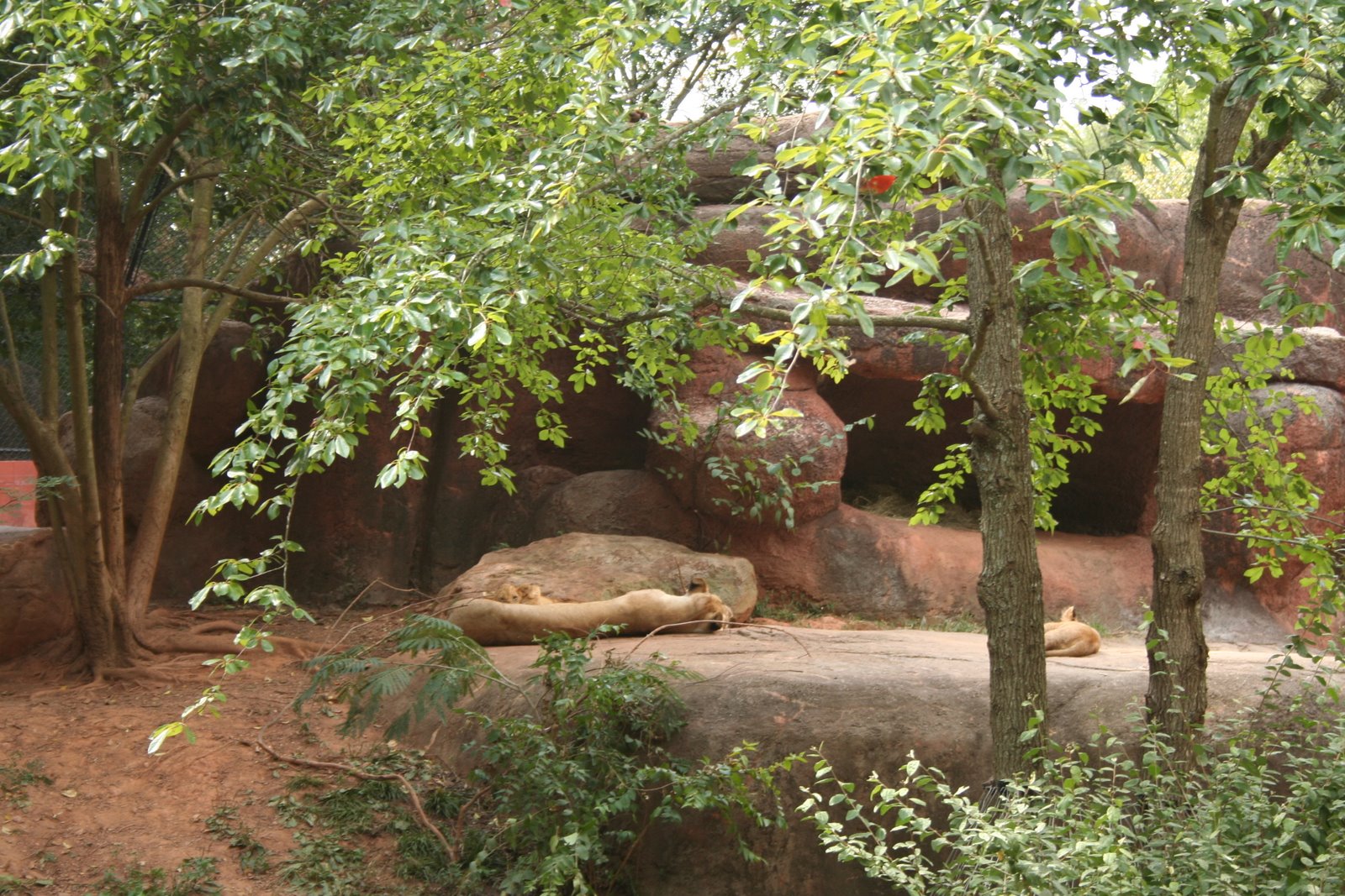 [October+2008+011.JPG]