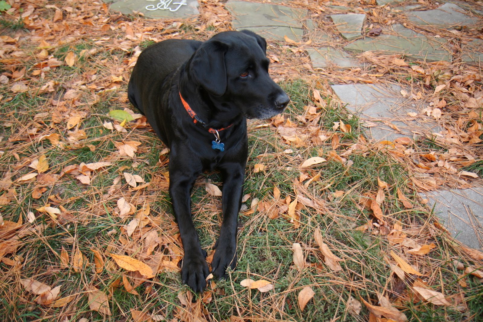 [Lense+Tests+027.JPG]