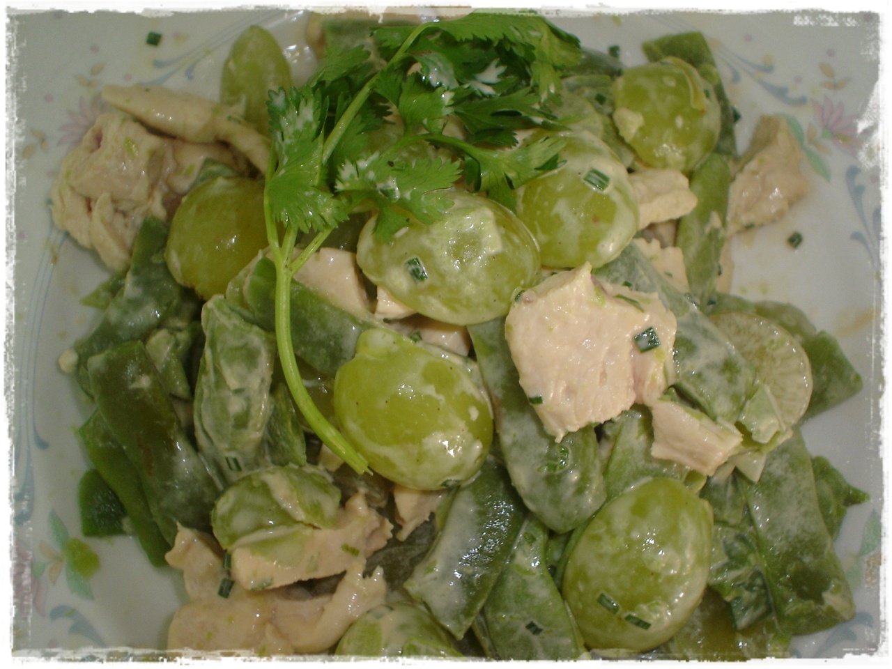[Salada+de+Feijao+verde+frango+e+uvas2.JPG]