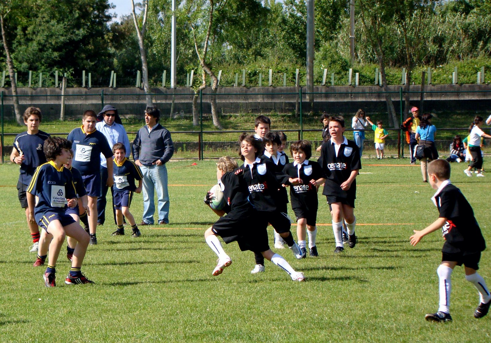 [DSC05474.JPG]