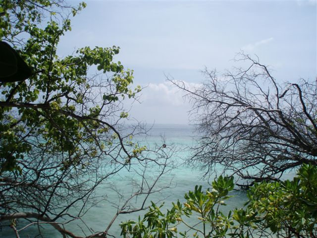 [P1275518.JPG]