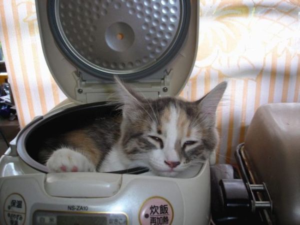 [image013.jpg]