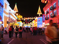 Fred and Ethel Go to Disneyworld: tripadvisor Orlando Vacation List 2011