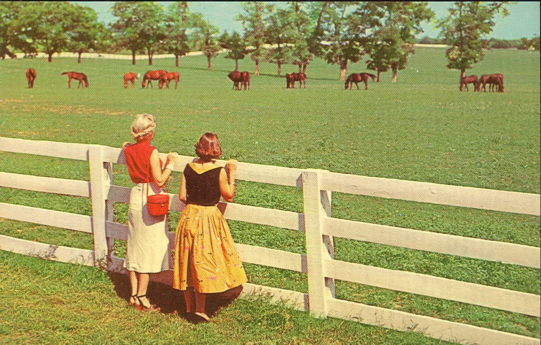 Vintage Travel Postcards Lexington, Kentucky