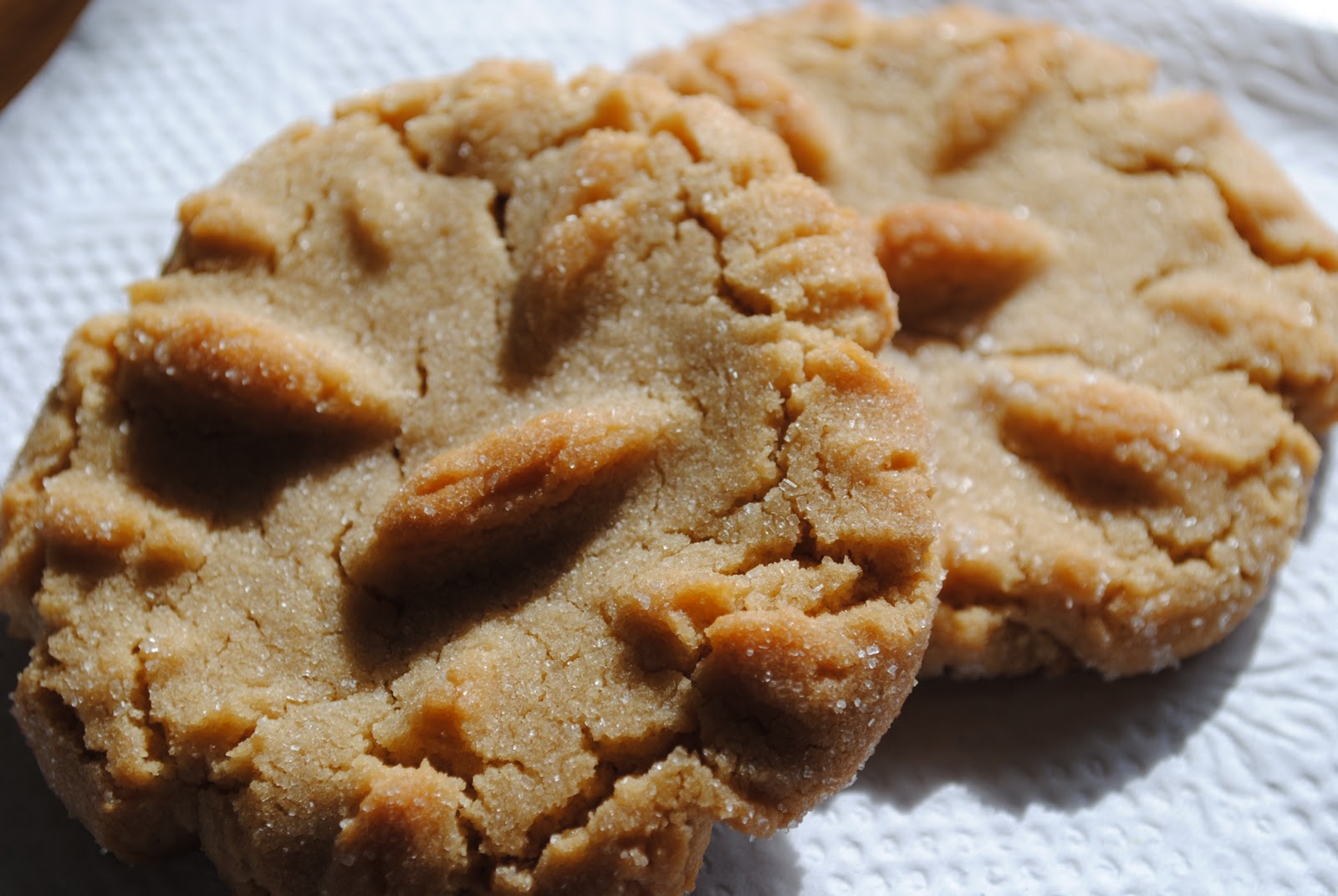 Dairy Free "Tried and True" Chewy Peanut Butter Cookies