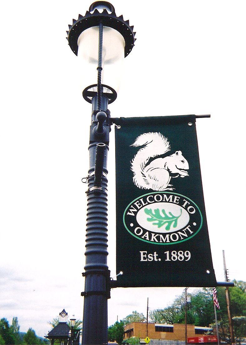 [Squirrel+Flag.jpg]
