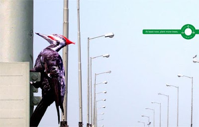 Astonishing Animal Advertisements Creating Awareness eco indi Astonishing Animal Advertisements Creating Awareness