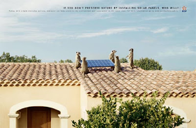 Astonishing Animal Advertisements Creating Awareness edf fren Astonishing Animal Advertisements Creating Awareness