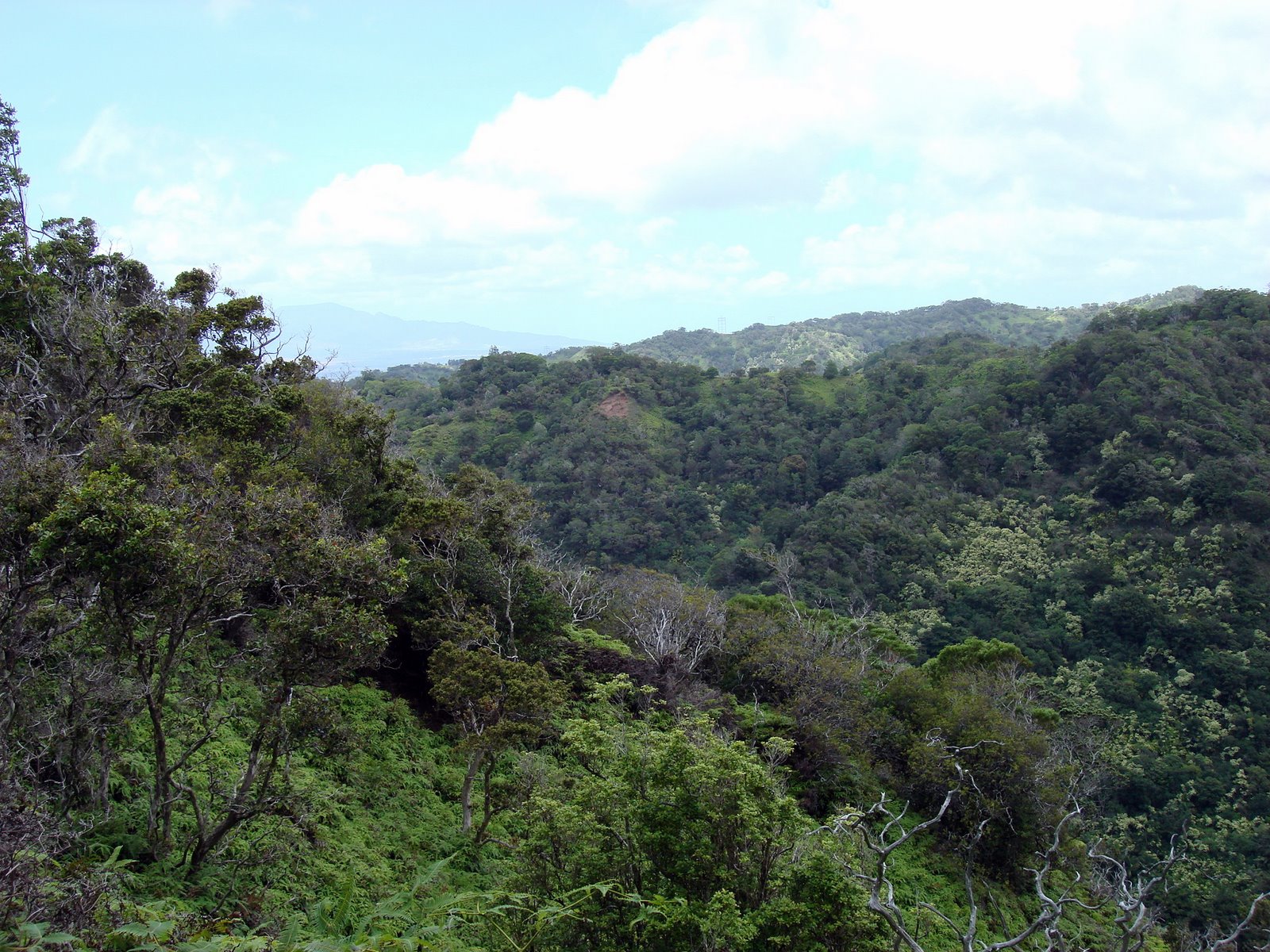 [DSC05195.JPG]