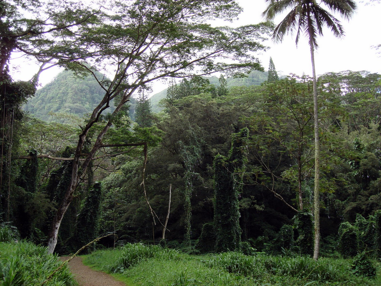 [DSC05353.JPG]
