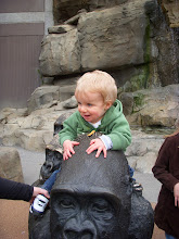 Jackson on top of the gorilla