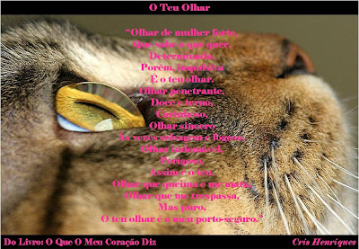 http://oqueomeucoracaodiz.blogspot.com/, O Que O Meu Coração Diz, Cris Henriques, Poemas