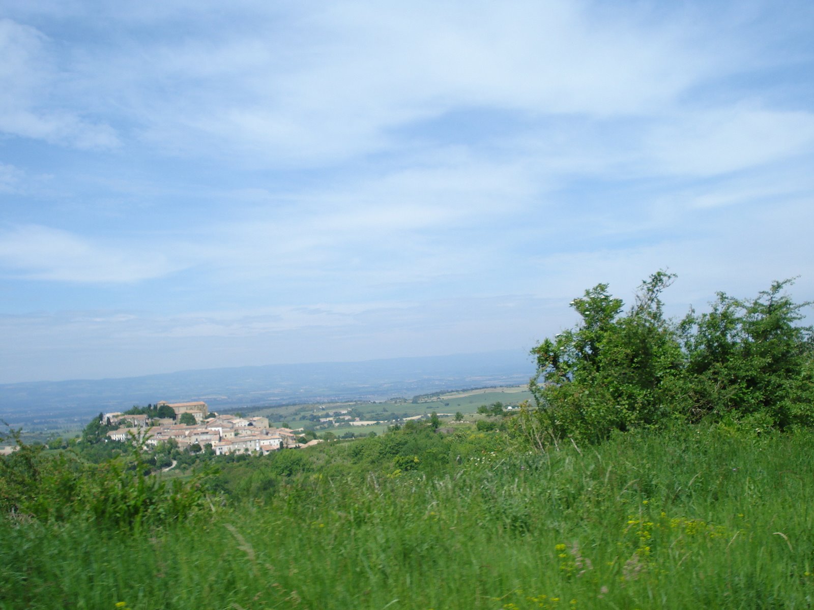 [DSC01075.JPG]