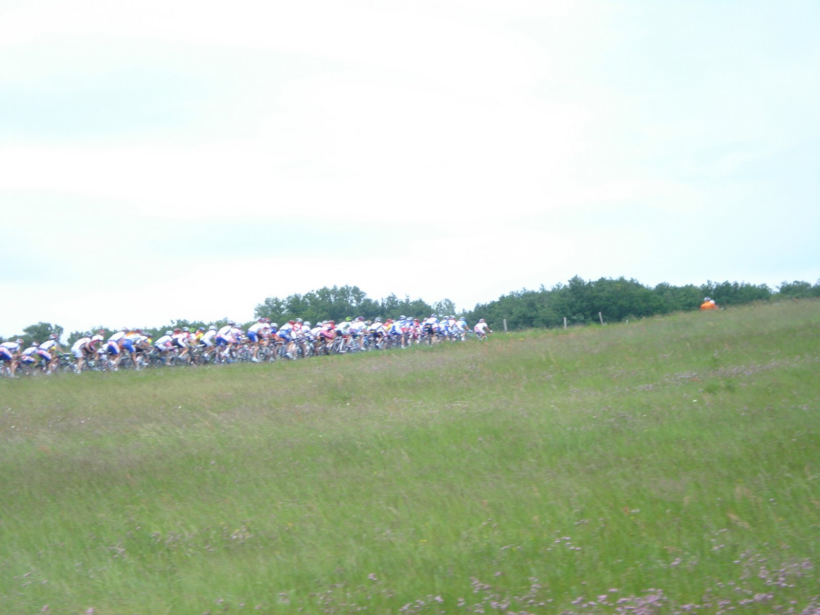 [DSC01069.JPG]