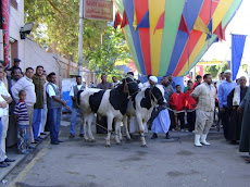 ذكرى تحويل الأقصر إلى محافظة 9/12/2009