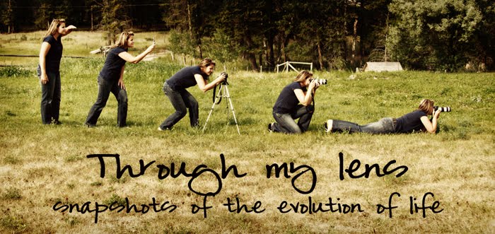 Life through my lens