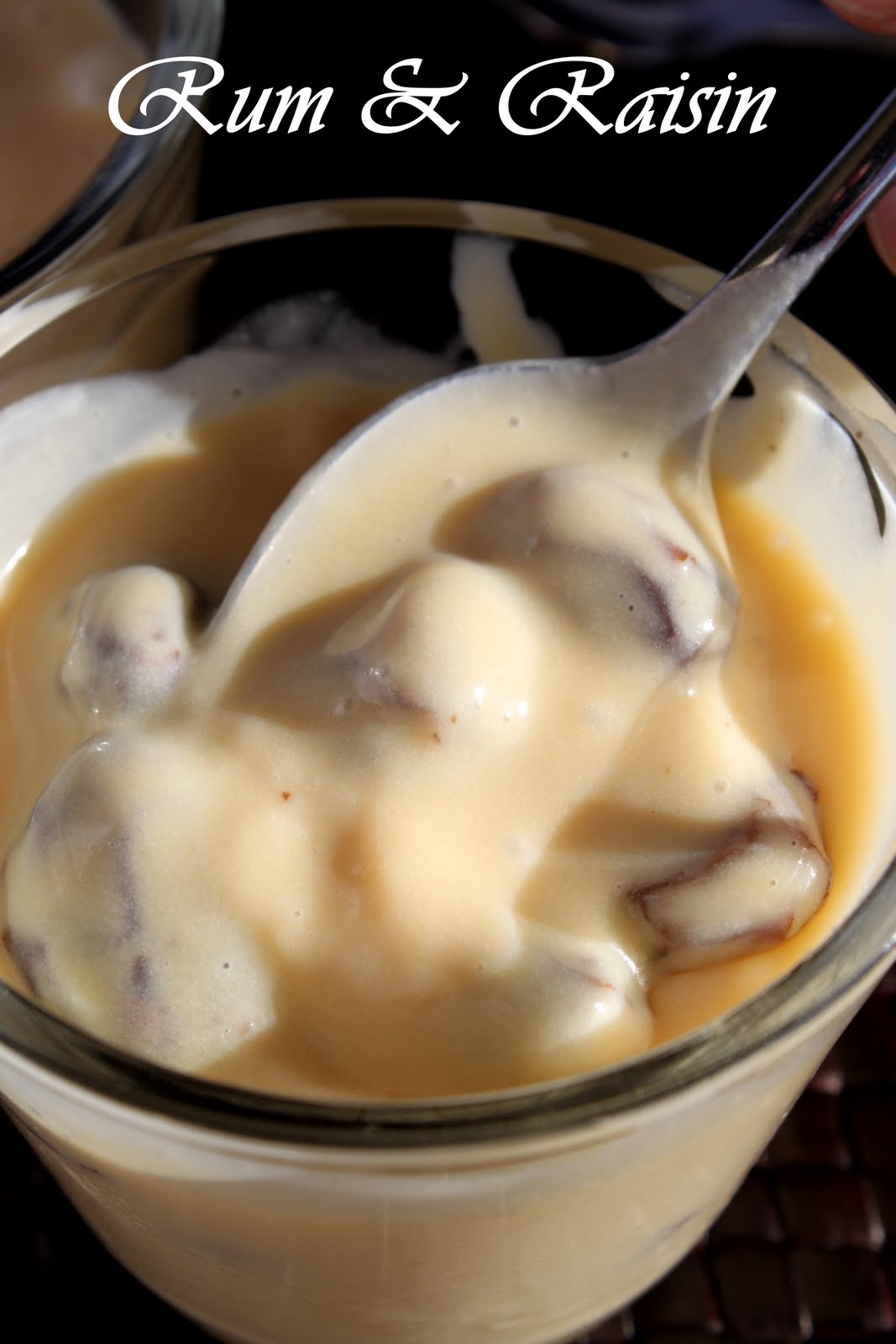 Diary of a Ladybird Rum & Raisin Ice Cream