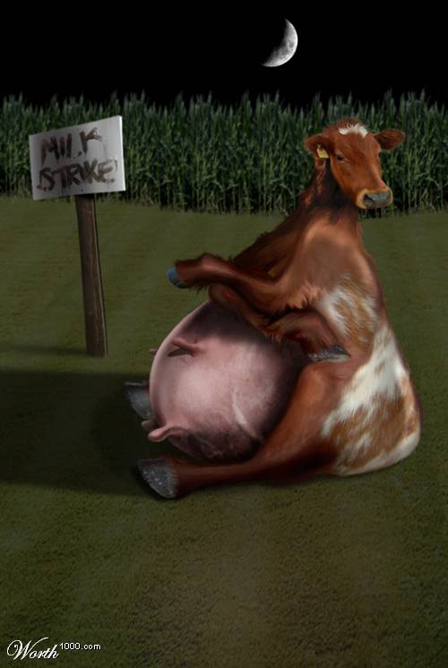 [vaca_leiteira.jpg]