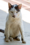 [kitler887.jpg]