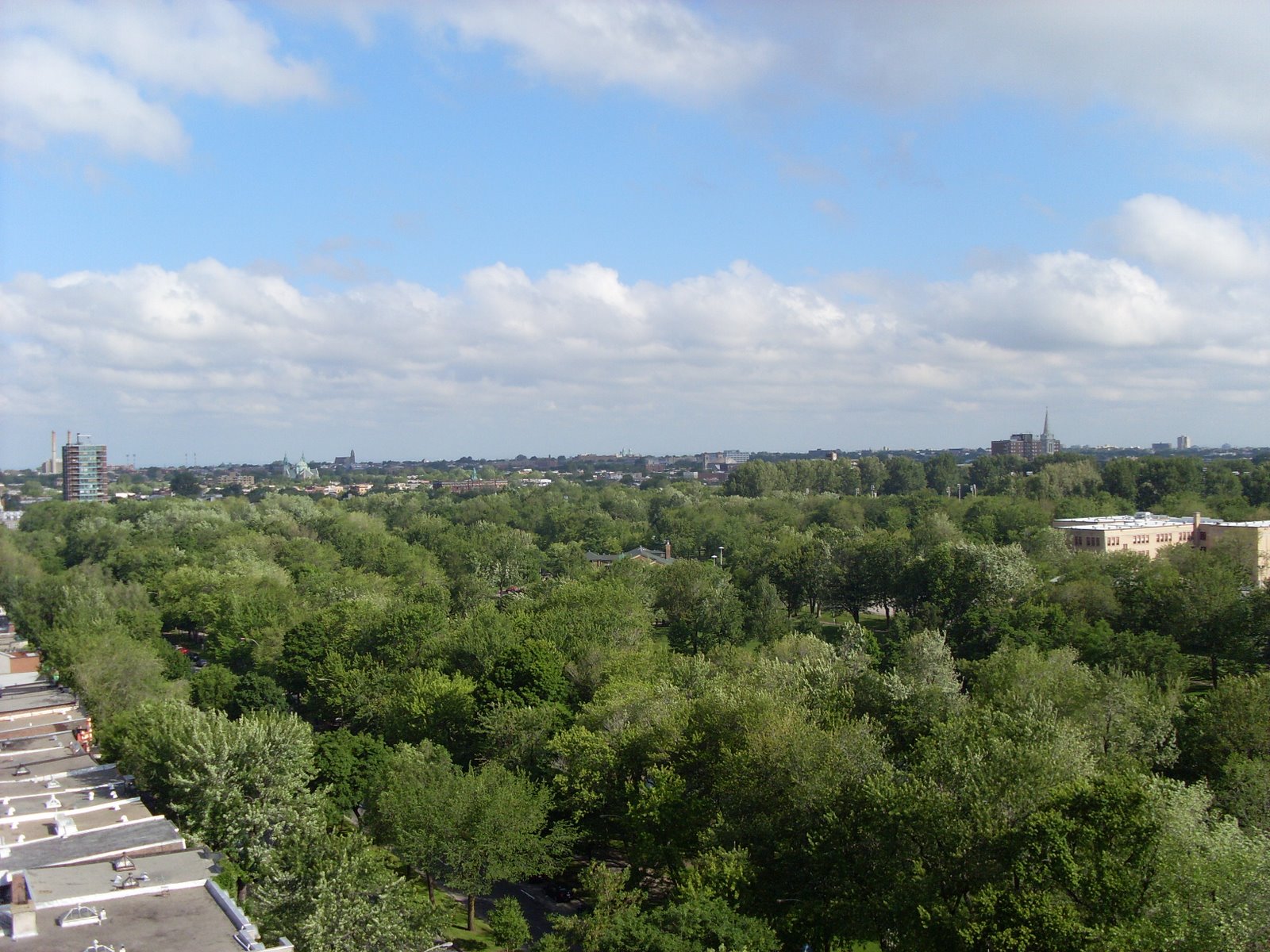 [SL381096.JPG]