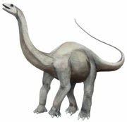Dinossauros Apatossauro