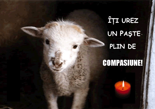 [mesaj+de+paste+original.jpg]