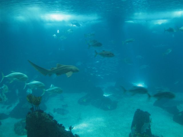 [IMG_5263.JPG]