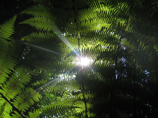 [IMG_5716.JPG]