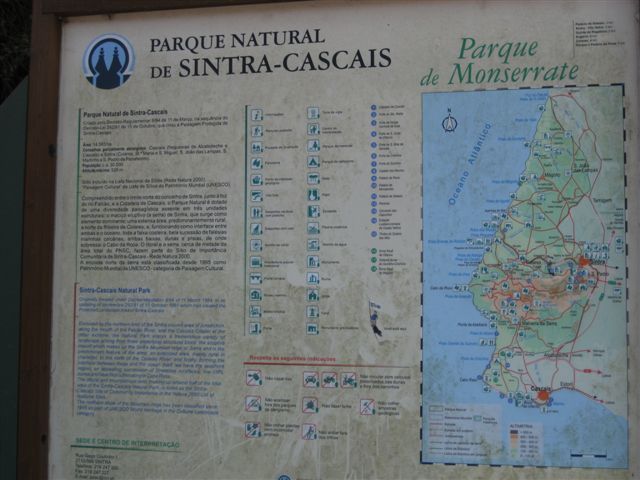 [IMG_5568.JPG]